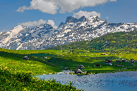 leben schweiz 